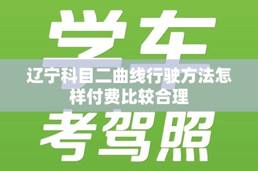 辽宁科目二曲线行驶方法怎样付费比较合理