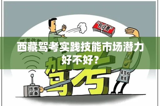 西藏驾考实践技能市场潜力好不好？