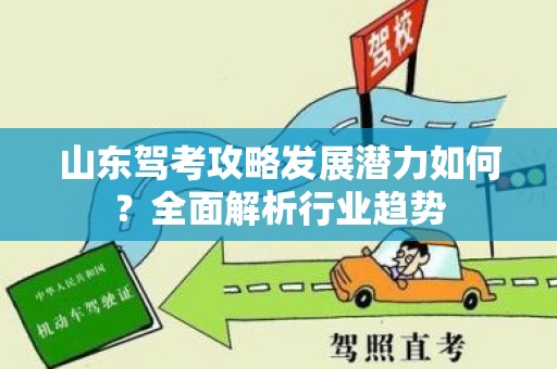 山东驾考攻略发展潜力如何？全面解析行业趋势