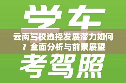 云南驾校选择发展潜力如何？全面分析与前景展望