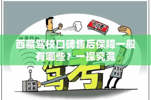 西藏驾校口碑售后保障一般有哪些？一探究竟