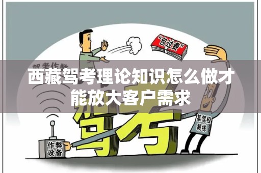 西藏驾考理论知识怎么做才能放大客户需求