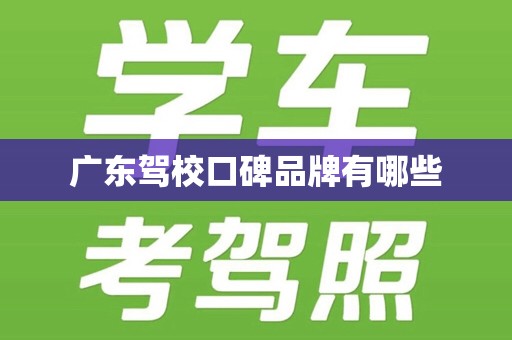 广东驾校口碑品牌有哪些